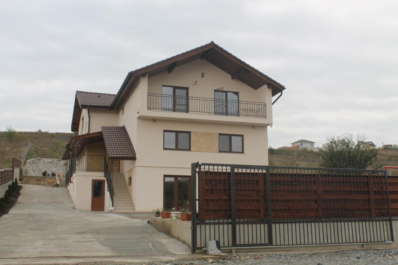 Pensiunea Giulia Home Dezmir Exteriér fotografie